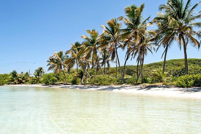 Excursion Isla Contoy & Isla Mujeres from Cancun - A Deep Dive into the Tour Experience