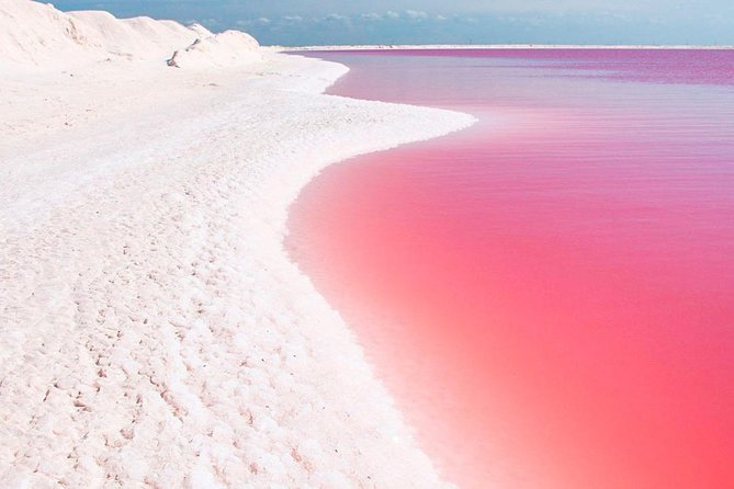 Excursion Las Coloradas & Rio Lagartos Only From Cancun - Overall Experience and Recommendations