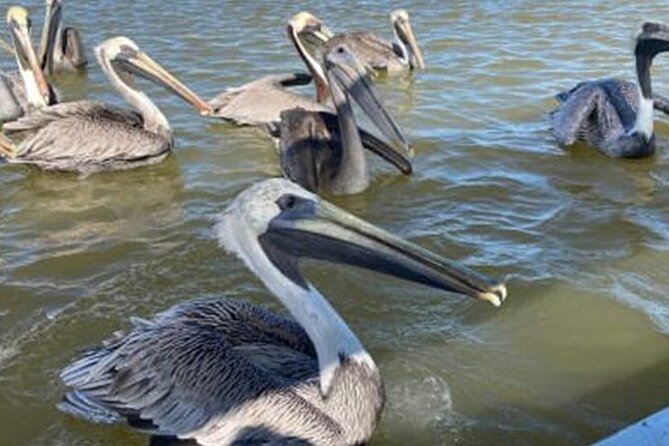 Excursion Las Coloradas & Rio Lagartos Only From Cancun - The Sum Up