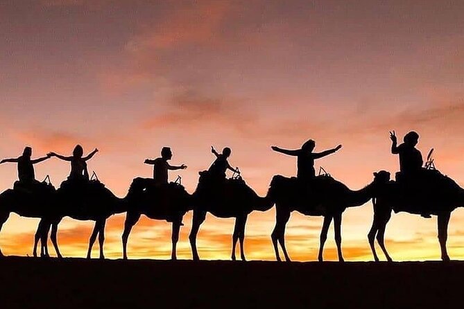 Excursion Les Trois Vallées-Quad Dromedary and Dinner Show - Quad Dromedary Experience