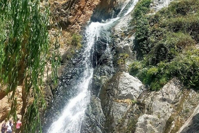 Excursion Les Trois Vallées-Quad Dromedary and Dinner Show - Booking Information