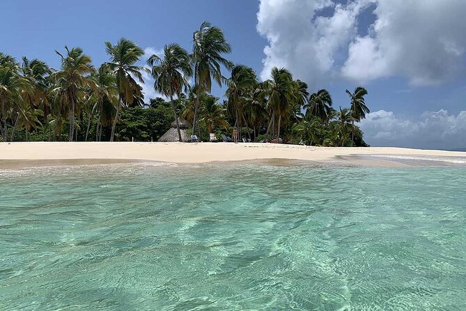 Excursion Los Haitises Cayo Levantado (Bacardí Island) From Santo Domingo - Activities and Sightseeing