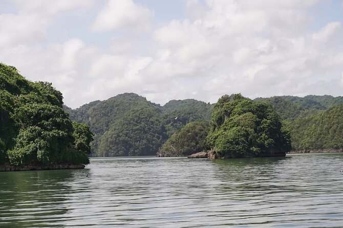 Excursion Los Haitises Cayo Levantado (Bacardí Island) From Santo Domingo - Important Information