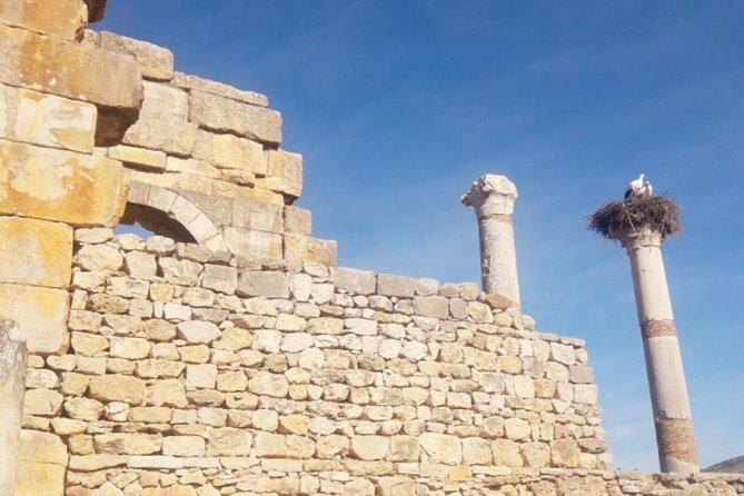 Excursion Meknes Volubilis - Common Questions