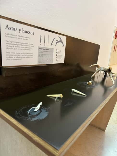 Excursion: Neocueva de Altamira | Santillana del Mar | Comillas - Who Will Enjoy This Tour?