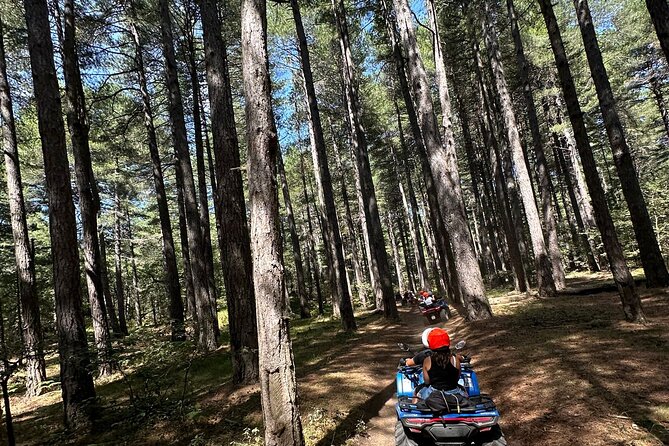 Excursion of the Alcantara Gorges and Etna by Quad - Itinerary Highlights