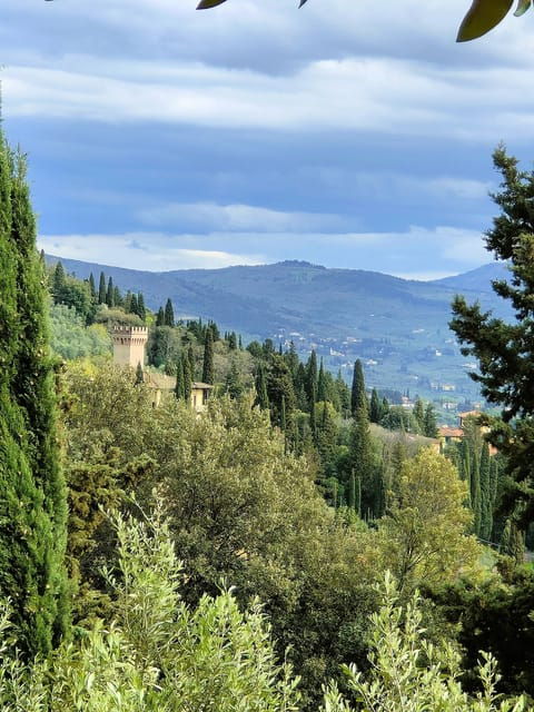 Excursion on the Hills of Florence: Fiesole Told - Highlights of the Experience