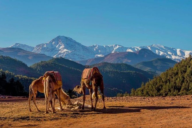 Excursion Ourika Valley: - Destination and Transportation