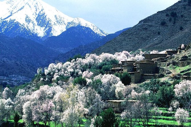 Excursion Ourika Valley: - Group Size and Accessibility