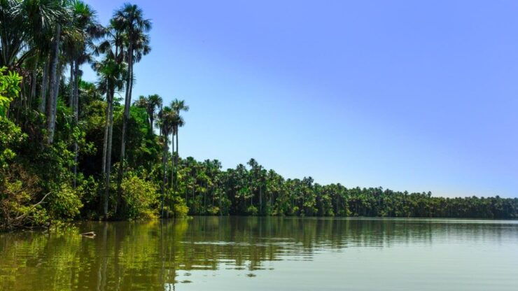 Excursion Tambopata 3 Days 2 Nights - Itinerary Details and Activities