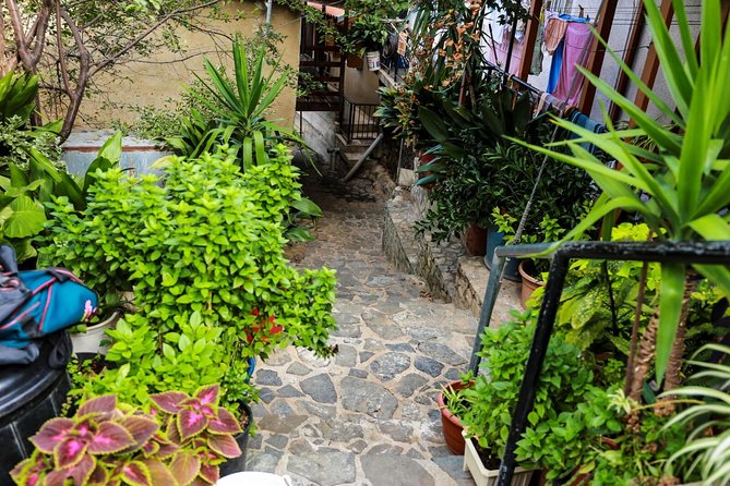 Excursion TASTE of CYPRUS From Paphos - Excursion Overview