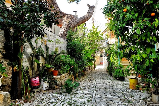 Excursion TASTE of CYPRUS From Paphos - Frequently Asked Questions