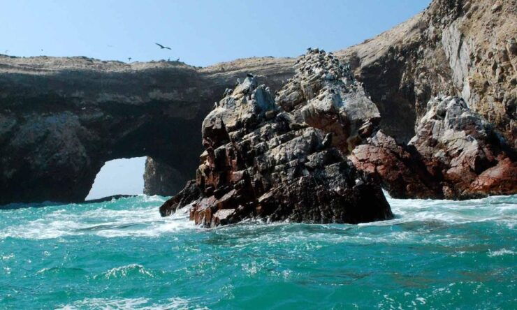 Excursion the Ballestas Islands - Good To Know
