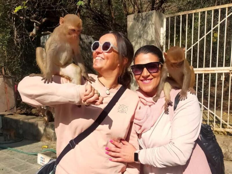 Excursion to Abhaneri and the Monkey Temple from Jaipur - Why This Tour Is Worth It  