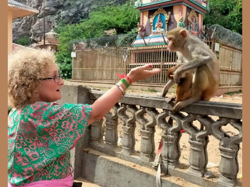 Excursion to Abhaneri and the Monkey Temple from Jaipur - Final Thoughts  