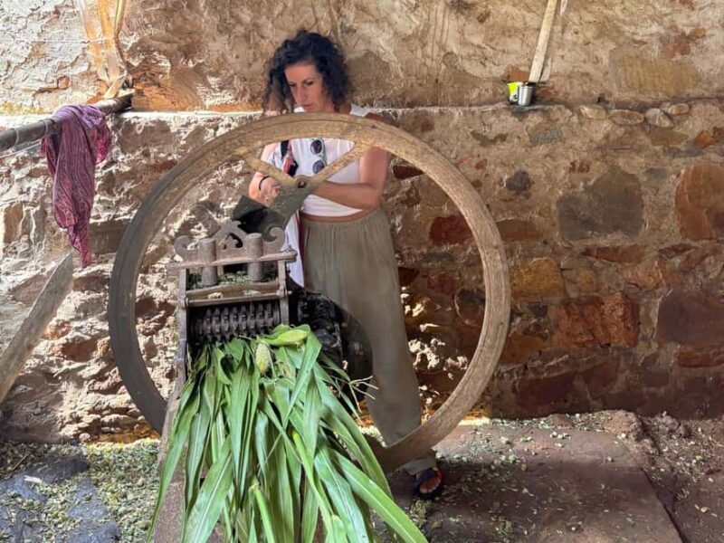 Excursion to Abhaneri and the Monkey Temple from Jaipur - Good To Know