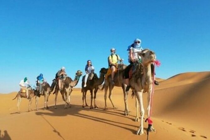 Excursion to Agafay Desert With Camel Ride From Marrakech - Reviews and Ratings