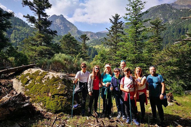 Excursion to Aigüestortes - Estany Llebreta (1/2 Day) - The Sum Up