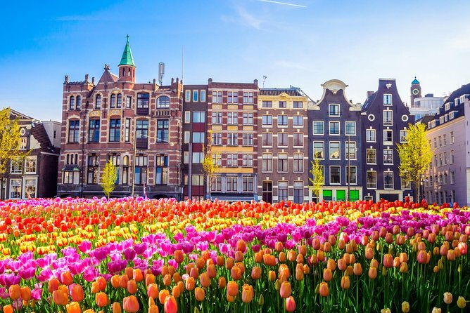 Excursion to Amsterdam by Bus From Brussels - Meals and Recommendations