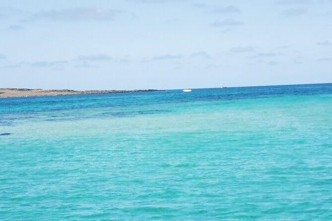 Excursion to Asinara Stintino La Pelosa National Park - Onboard Experience and Food