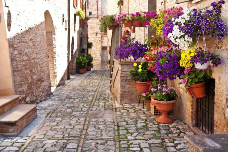 Excursion to Assisi With Wine Tasting - Departure From Rome - Booking Details