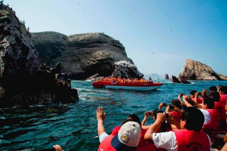 Excursion to Ballestas Islands and Paracas National Reserve - Good To Know
