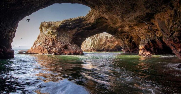 Excursion to Ballestas Islands and Paracas National Reserve - Booking Details