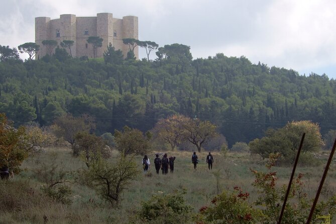 Excursion to Castel Del Monte in the Alta Murgia National Park - Duration and Admission