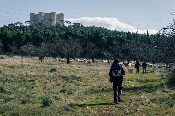 Excursion to Castel Del Monte in the Alta Murgia National Park - Private Tour Details