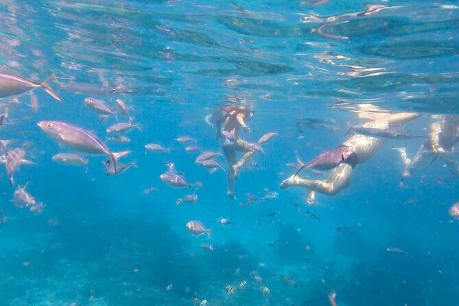 Excursion to Catalina Island and Snorkeling from Punta Cana - Practical Details & Tips