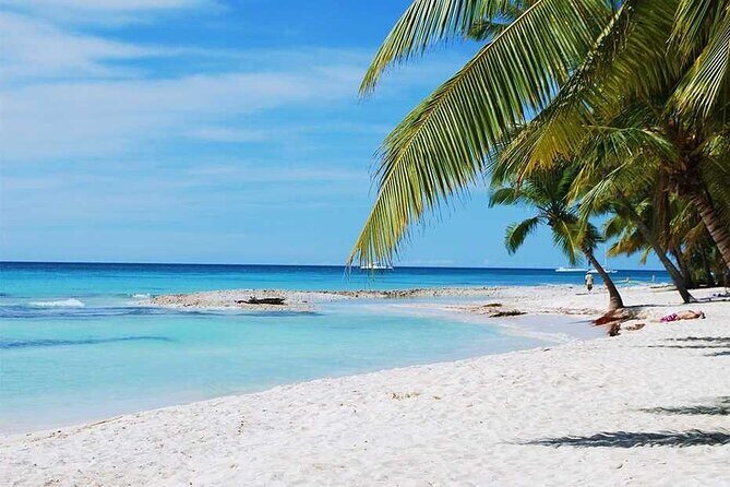 Excursion to Catalina Island and Snorkeling from Punta Cana - FAQs