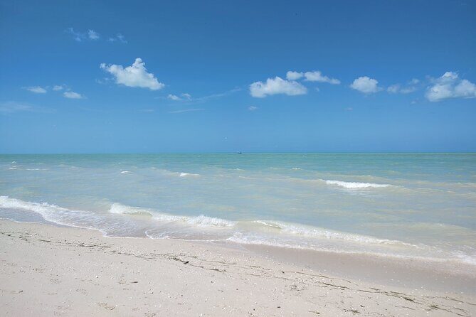 Excursion to Celestun, Swimming, Hiking & Boat Ride - Final Thoughts