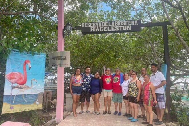 Excursion to Celestun, Swimming, Hiking & Boat Ride - Inclusions and Exclusions