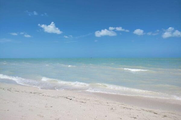 Excursion to Celestun, Swimming, Hiking & Boat Ride - Considerations