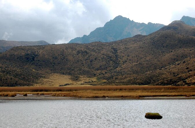 Excursion to Cotopaxi National Park and Limpiopungo Lagoon - Cotopaxi National Park Highlights