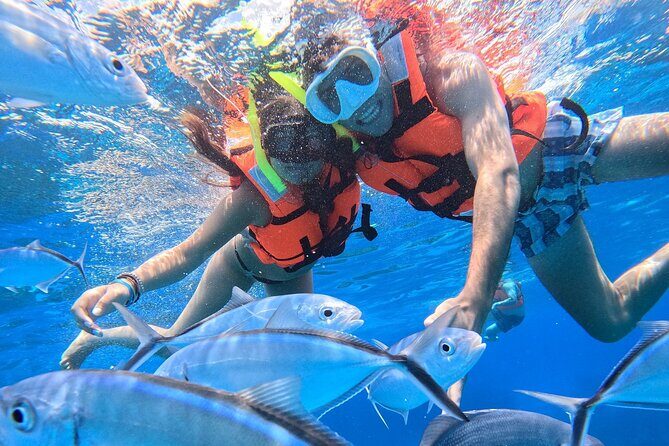 Excursion to Cozumel from Cancun - Final Word