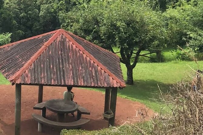 Excursion to Furnas and Nordeste With Cozido Das Furnas - Excursion Highlights and Itinerary
