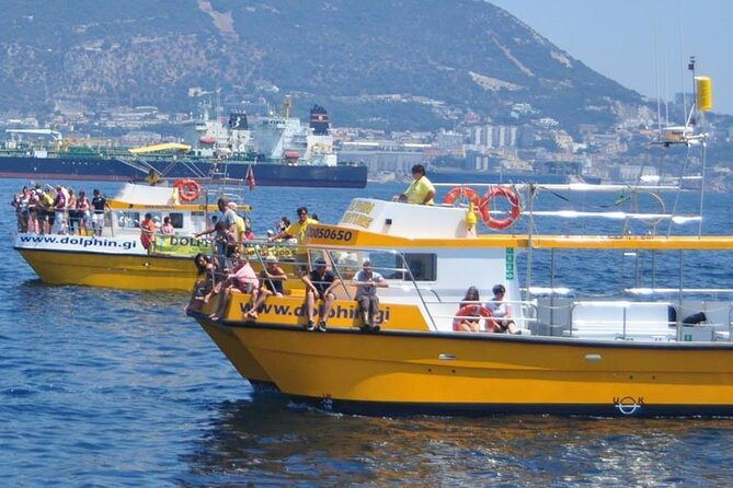 Excursion to Gibraltar With Dolphin Watching From Malaga - Excursion Experience