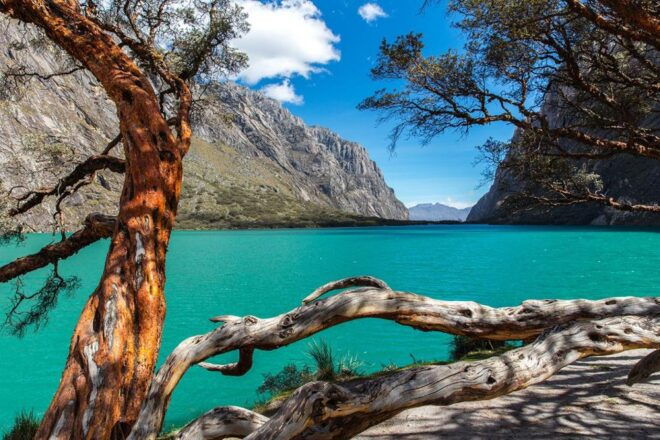 Excursion to Huascaran National Park Chinancocha Lagoon - Trip Highlights