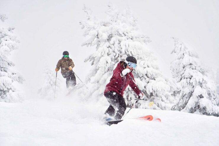 Excursion to Hunter Mountain - Experience