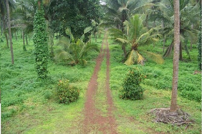 Excursion to Karkala and Moodabidri From Mangalore With Lunch - Meeting Point
