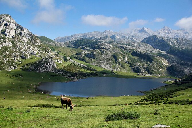 Excursion to Lakes of Covadonga and Cangas De Onís From Oviedo - Cancellation Policy