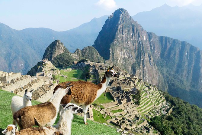 Excursion to Machu Picchu From Cusco Private Service - Meeting and Pickup Information