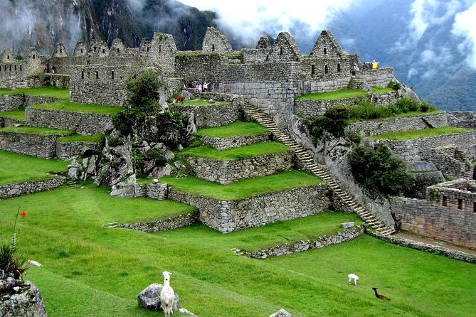 Excursion to Machu Picchu From Cusco Private Service - Pricing and Availability