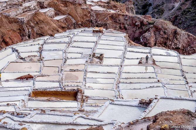 Excursion to Moray & Maras - Salt Mines Private Service - The Sum Up