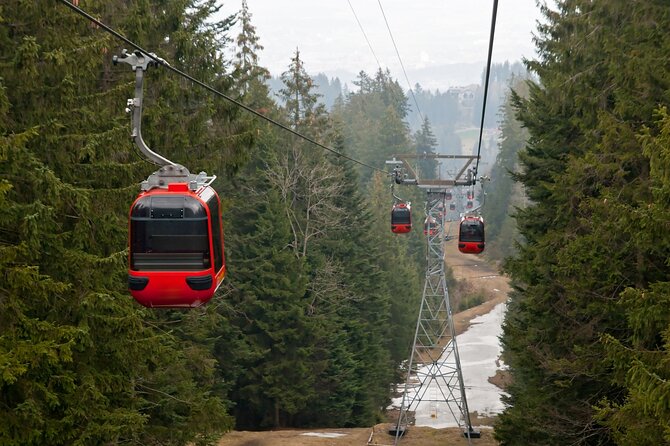 Excursion to Mount Pilatus - the Golden Round Trip With a Local From Lucerne - Questions and Terms