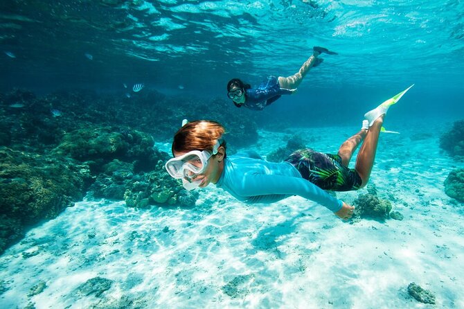 Excursion to Nabq National Park and Oasis Bay Sharm El Sheikh - Tips for a Memorable Experience