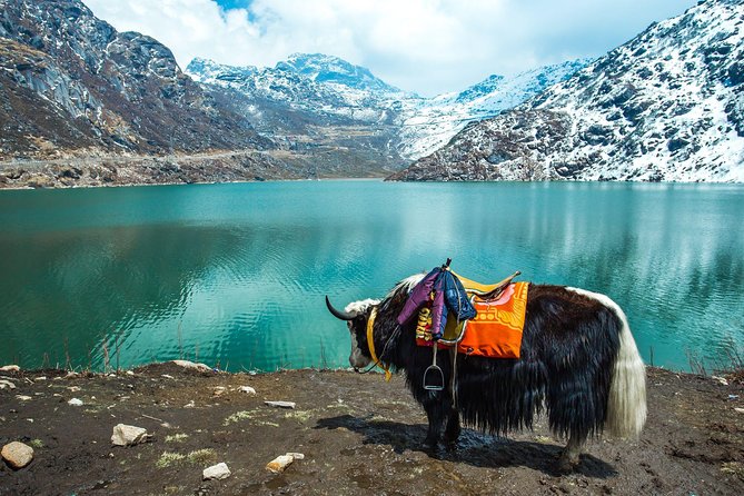 Excursion to North Sikkim Lachen and Lachung 6 Days - Accommodation Details