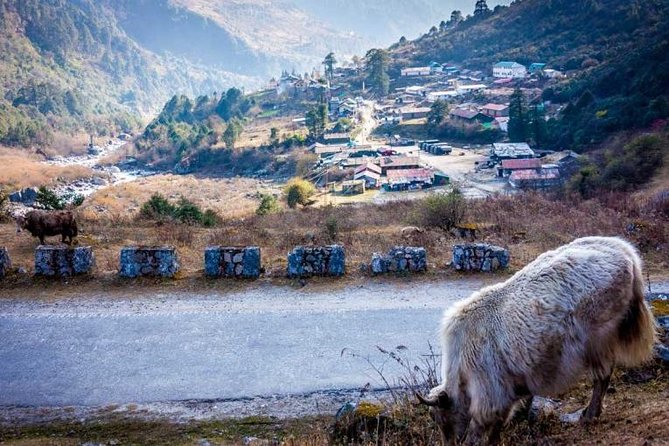 Excursion to North Sikkim Lachen and Lachung 6 Days - Frequently Asked Questions