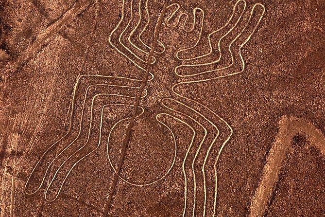 Excursion to Paracas: Huacachina and the Nazca Lines During 2d/1n From Lima - Accommodation in Nazca